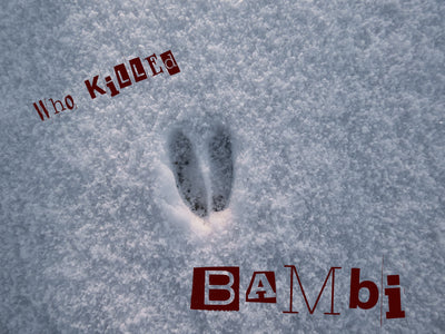 WHO KILLED BAMBI? - Eine Ode für den Tierschutz oder einfach nur Punk?