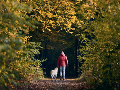 Wie Naturerlebnisse die mentale Gesundheit stärken können