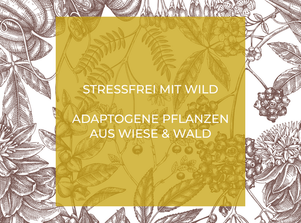 Stressfrei mit Wild: Adaptogene Pflanzen aus Wiese & Wald