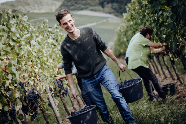 Wie der Vater so der Sohn…