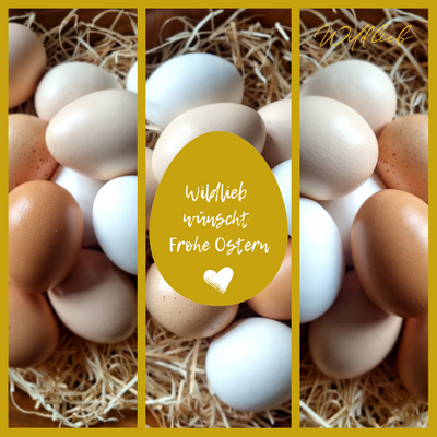 Ei, ei, ei… Ostern! - Warum wir an Ostern Eier bemalen, verstecken und essen